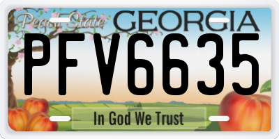 GA license plate PFV6635