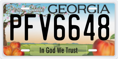 GA license plate PFV6648