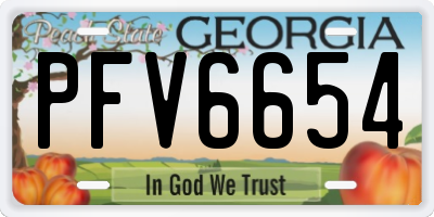 GA license plate PFV6654