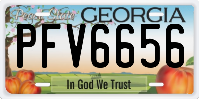 GA license plate PFV6656