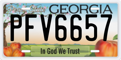 GA license plate PFV6657