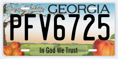 GA license plate PFV6725
