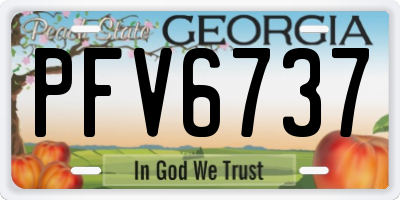 GA license plate PFV6737