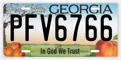 GA license plate PFV6766
