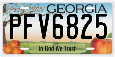 GA license plate PFV6825