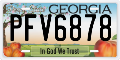 GA license plate PFV6878