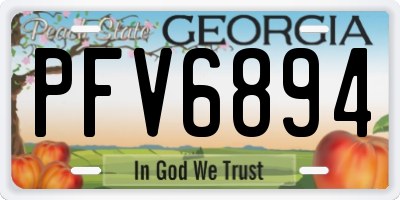 GA license plate PFV6894