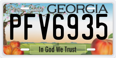 GA license plate PFV6935