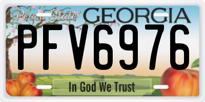 GA license plate PFV6976