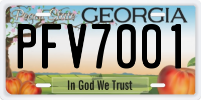 GA license plate PFV7001