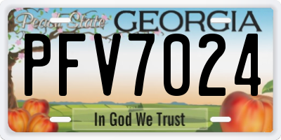 GA license plate PFV7024