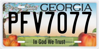 GA license plate PFV7077