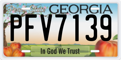 GA license plate PFV7139