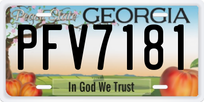 GA license plate PFV7181