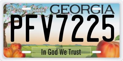GA license plate PFV7225