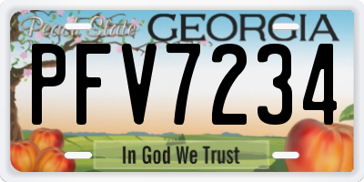 GA license plate PFV7234