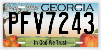 GA license plate PFV7243