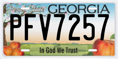GA license plate PFV7257