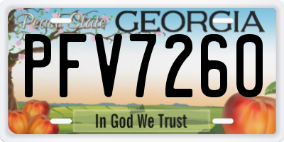 GA license plate PFV7260
