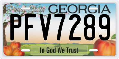GA license plate PFV7289