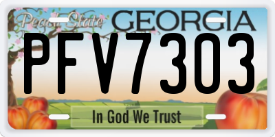 GA license plate PFV7303