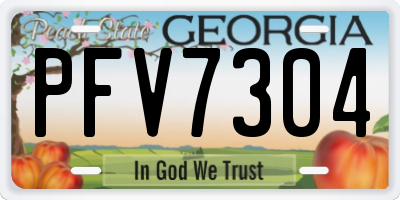 GA license plate PFV7304
