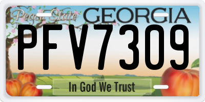 GA license plate PFV7309