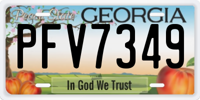 GA license plate PFV7349