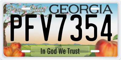 GA license plate PFV7354