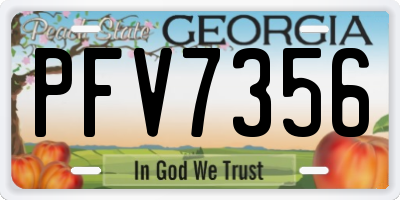 GA license plate PFV7356
