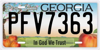 GA license plate PFV7363