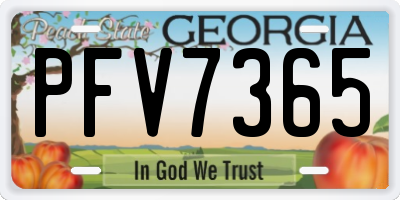 GA license plate PFV7365