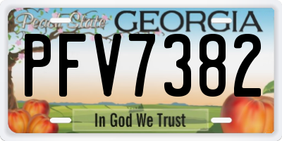 GA license plate PFV7382