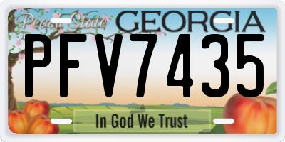 GA license plate PFV7435