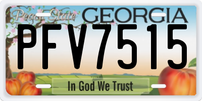 GA license plate PFV7515