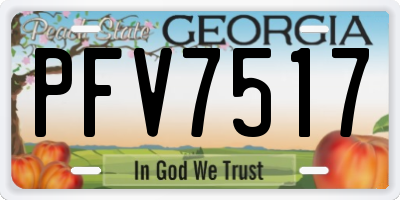 GA license plate PFV7517