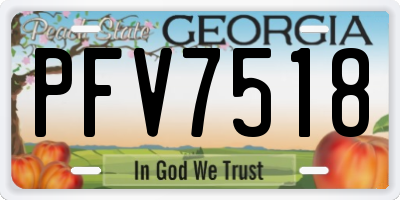 GA license plate PFV7518