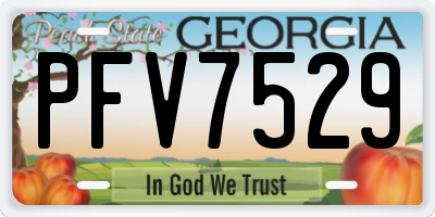 GA license plate PFV7529