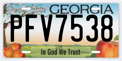 GA license plate PFV7538