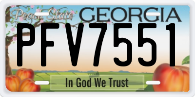 GA license plate PFV7551