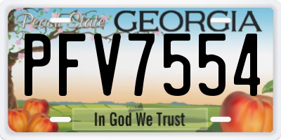 GA license plate PFV7554