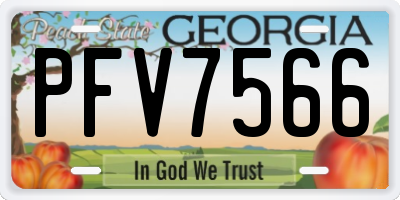 GA license plate PFV7566
