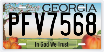 GA license plate PFV7568