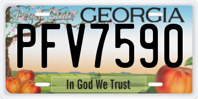 GA license plate PFV7590