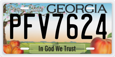 GA license plate PFV7624