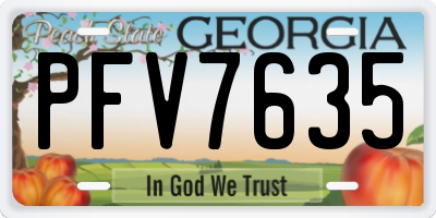 GA license plate PFV7635
