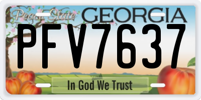 GA license plate PFV7637