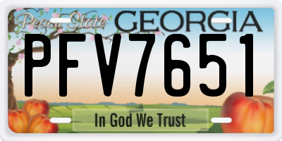 GA license plate PFV7651