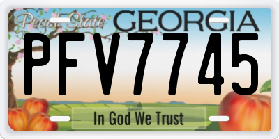 GA license plate PFV7745