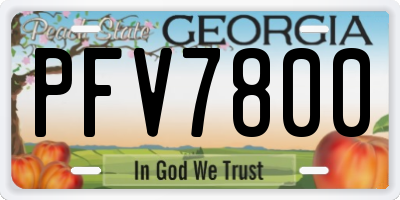 GA license plate PFV7800